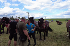 vlcsnap-2023-11-14-22h14m38s740