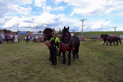 vlcsnap-2023-11-14-22h15m02s400