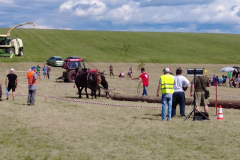 vlcsnap-2023-11-14-22h15m40s004