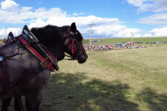 vlcsnap-2023-11-14-22h15m55s566