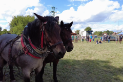 vlcsnap-2023-11-14-22h15m58s630