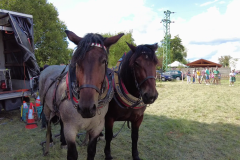 vlcsnap-2023-11-14-22h16m01s972