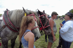 vlcsnap-2023-11-14-22h16m42s539