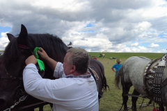 vlcsnap-2023-11-14-22h17m41s223