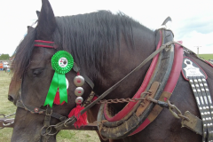 vlcsnap-2023-11-14-22h18m50s663