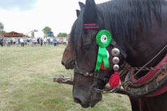 vlcsnap-2023-11-14-22h19m09s388