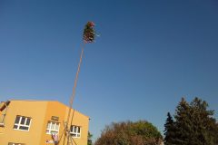 maj2026_0020